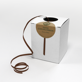 Paper Curling Ribbon (5mm x 500m) - Brown